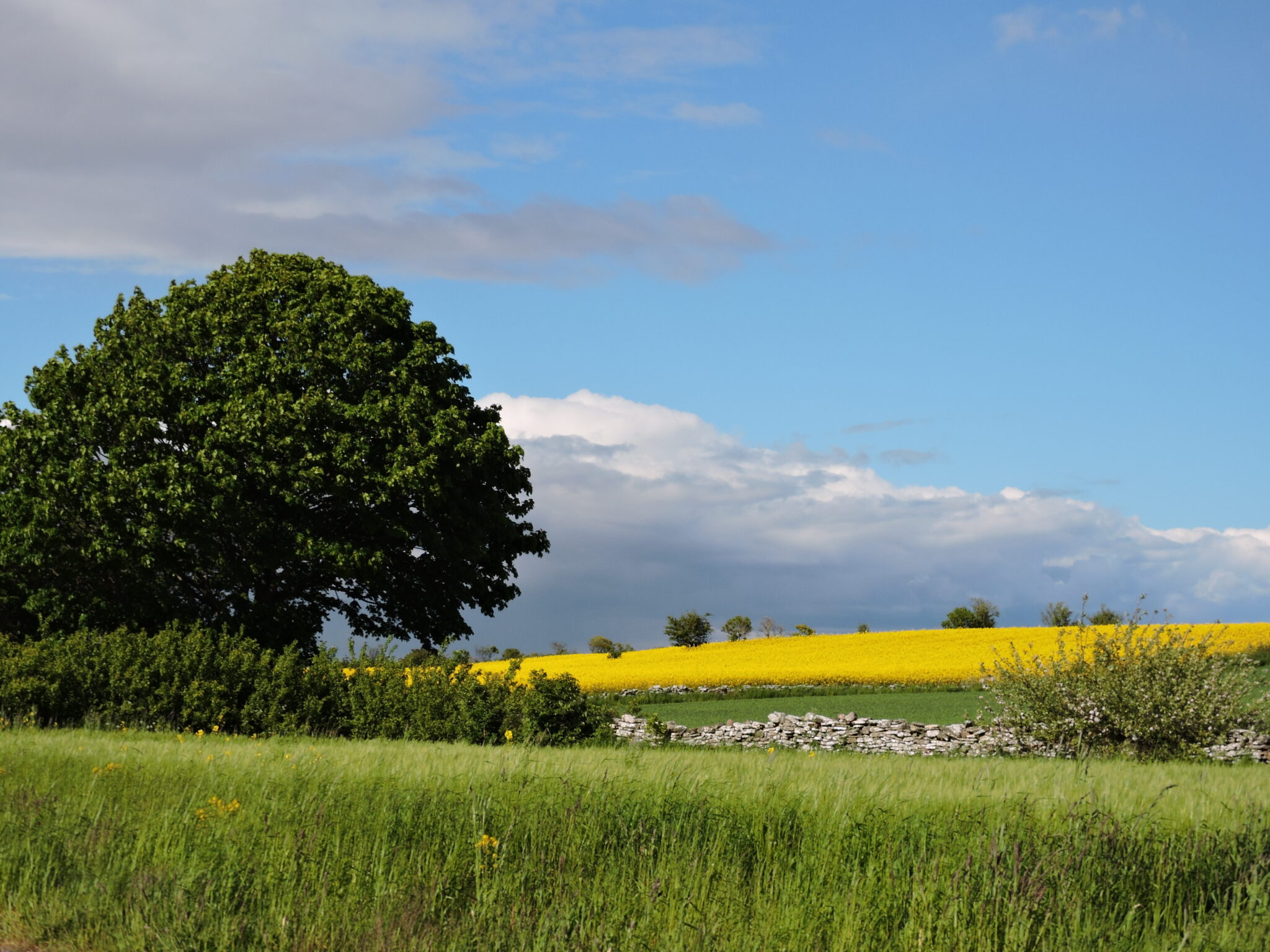 Startsida Öland Spirar