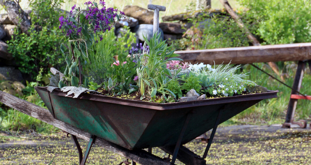 Startsida Öland Spirar