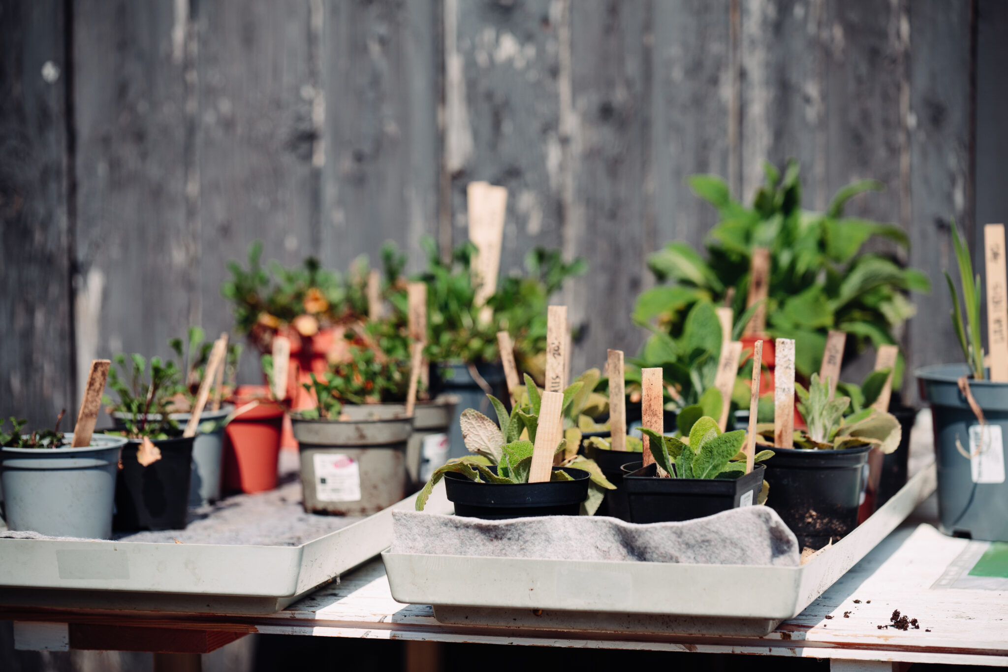 Startsida Öland Spirar